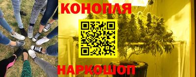 винт Гудермес