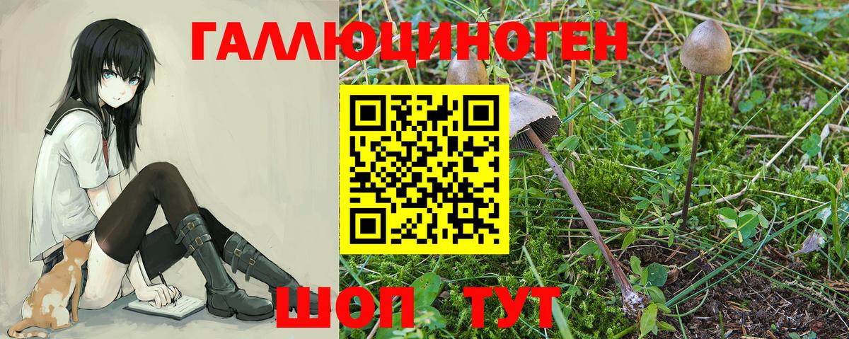 Галлюциногенные грибы Psilocybine cubensis Ревда