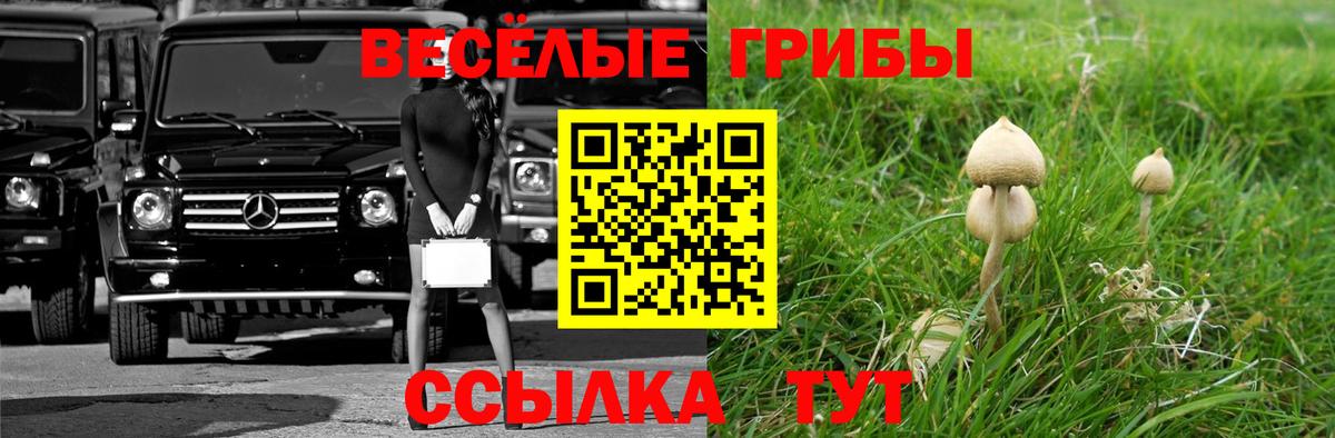 Галлюциногенные грибы Magic Shrooms  Вход с VPN  Ревда 